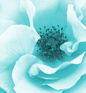 cropped g9df3d00a5a95a29301ca90531adeb9e74f8b97c2a99410f6fb8ff0dd99a654c3ff4a1ea4769d305a19923b2bb3be155700ee40c4d4626bcbb2cf34169ea30360 1280 4630136 280x300 cropped g9df3d00a5a95a29301ca90531adeb9e74f8b97c2a99410f6fb8ff0dd99a654c3ff4a1ea4769d305a19923b2bb3be155700ee40c4d4626bcbb2cf34169ea30360 1280 4630136 280x300